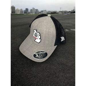 Unisex Branded Bills Hat Cap One Size Gray Black Michigan Schindler flex fit 110